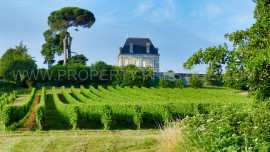 BORDEAUX – CHATEAU VITICOLE – 22 HA – CANON FRONSAC Fronsac