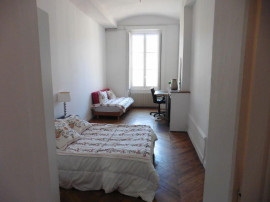 Chambre privée dans appartement de 140m2 Lyon 2ème