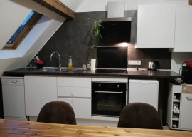 Charmant 3P meublé 70m² au sol et 47m² carrez Mulhouse