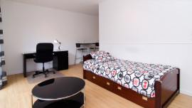 Charmant Studio 21m² Refait à Neuf Paris 15ème