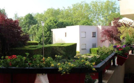 Colocation idéale à Cergy, en face parc Mitterrand Cergy