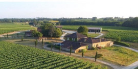 Domaine viticole, d’exception à reprendre Cazaubon
