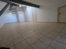 F1 clim clair 18+8m2, prox fac écoles métro B+D Lyon 7ème