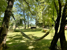 GERS DOMAINE ECO-RESPONSABLE 1,5 HA ETANG Masseube