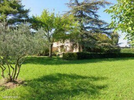 Grande maison en pierre Mas Provençal grand terain Cavaillon