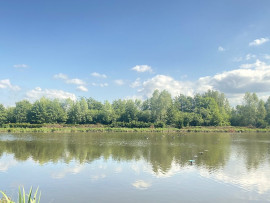 HUTTE DANS LE MARAIS DE GUINES (PAS DE CALAIS) Guînes