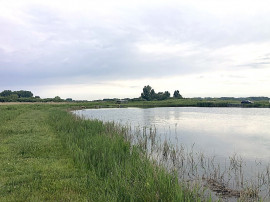 Hutte de chasse dans le marais de Merlimont Merlimont