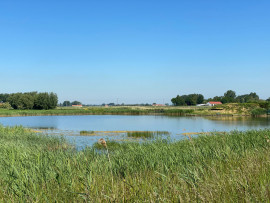 Hutte de chasse dns les Flandres (Nord) Dunkerque