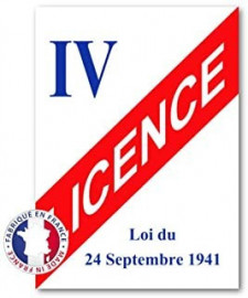 Licence IV Vénissieux