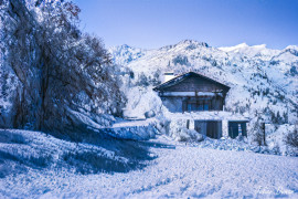 Magnifique maison - 2 gites plus un hectare Roquebillière