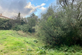 NICE Cimiez - Terrain constructible Nice