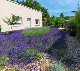 Petite maison meublée ,à louer, refait à neuf Gien