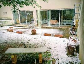 Pour les citadins amoureux de la nature Paris 14ème