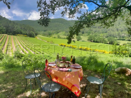 PROVENCE VERTE DOMAINE 62 HA OLIVERAIE VIGNES Le Thoronet