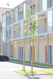 Studio Lmnp renta. 4.50 % Bourg-en-Bresse