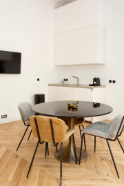 Studio meuble 35 m² calme, plein centre ville Grenoble