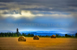 SUD-OUEST - EXPLOITATION AGRICOLE - 1700 HA Mont De Marsan