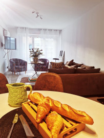 Superbe appartement meublé à NICE Nice