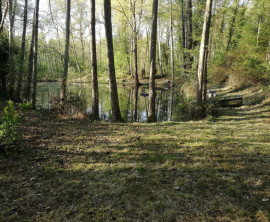 Superbe étang de loisirs. Faucoucourt