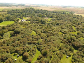 Superbe propriété sur près de 40ha Orville