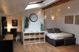 T1 Bis Coup de Coeur Ainay Lyon 2ème