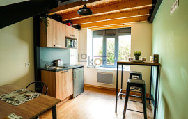 T1 Duplex meublé résidence calme & sécurisée Saint-Étienne