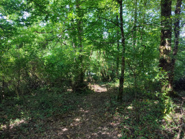 Terrain à Bâtir arboré CAMBES Cambes