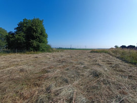 Terrain constructible – 2 643 m² Rocquigny