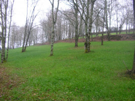 Terrain de loisir 15545m2 Juillac