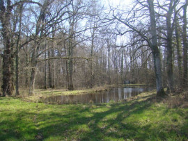 terrain de loisirs - forêt - étang - prairie Ambillou