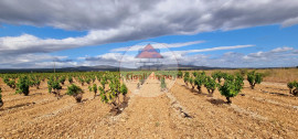 Terrain pour exploitation ou loisir Leucate