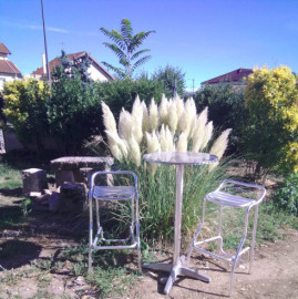 Très beau T2 meublé plein sud avec jardin Bourg-en-Bresse