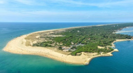 Villa d'architecte avec piscine au Cap Ferret Lège-Cap-Ferret