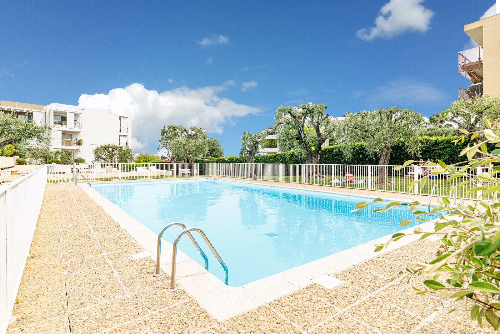 
                                                Vente
                                                 .