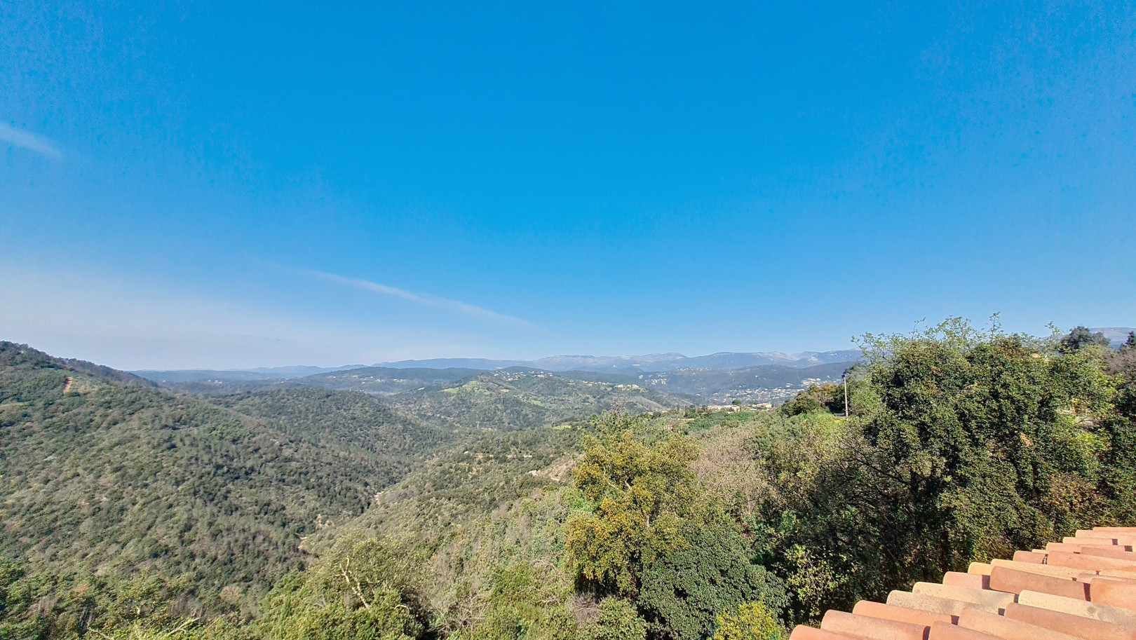 
                                                Vente
                                                 .