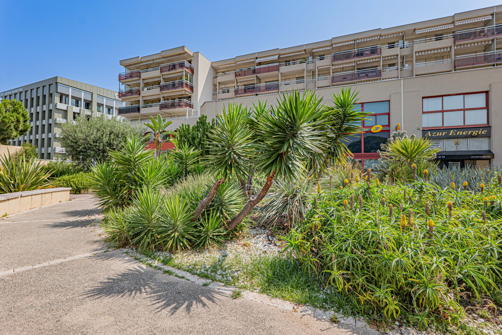 
                                                Vente
                                                 .