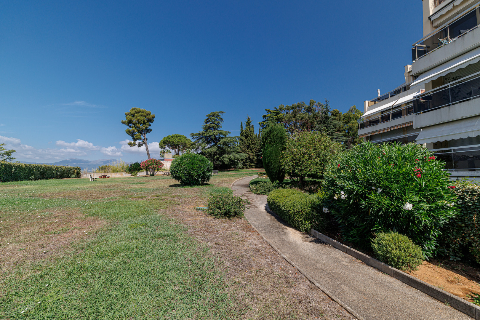 
                                                Vente
                                                 .