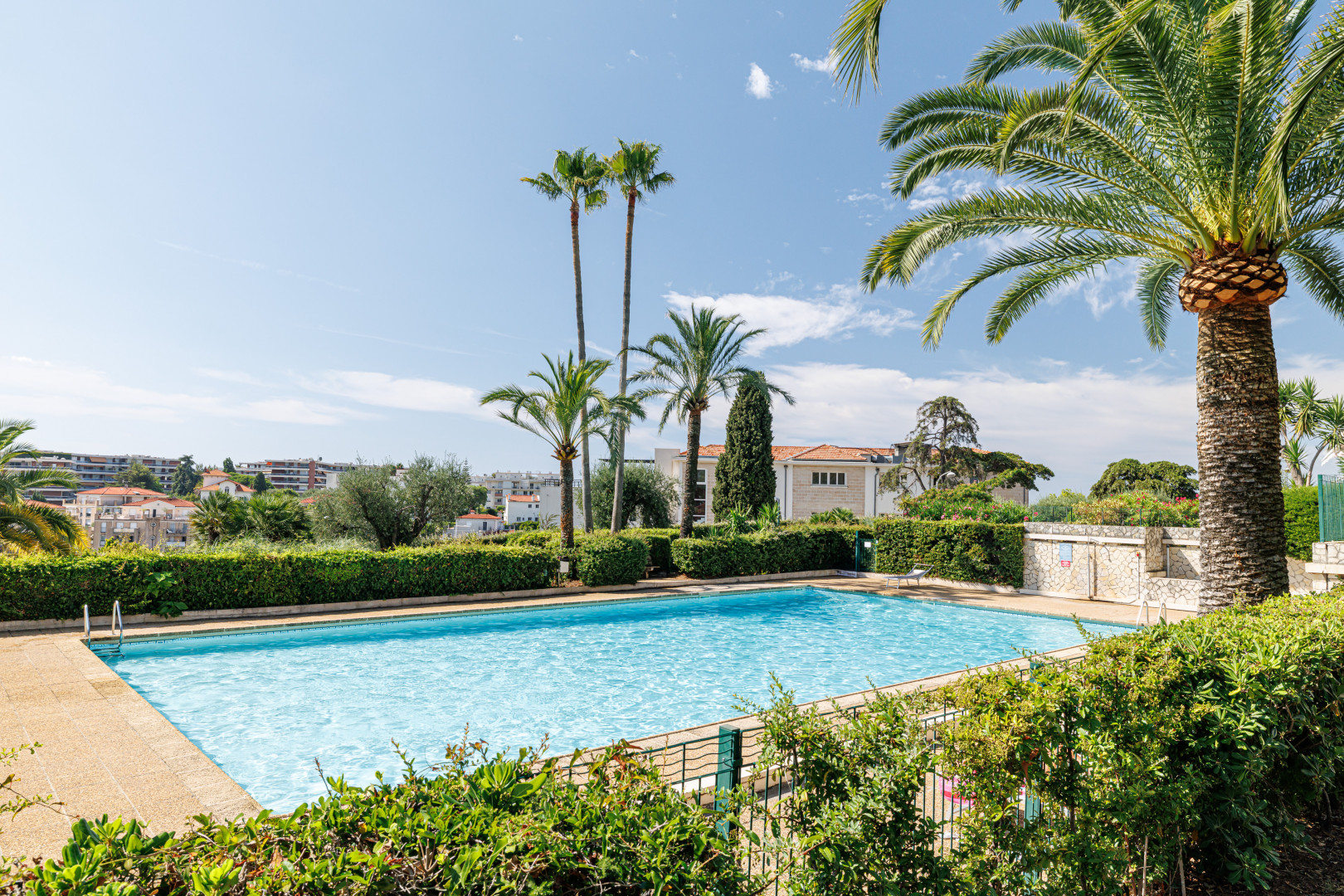 
                                                Vente
                                                 .