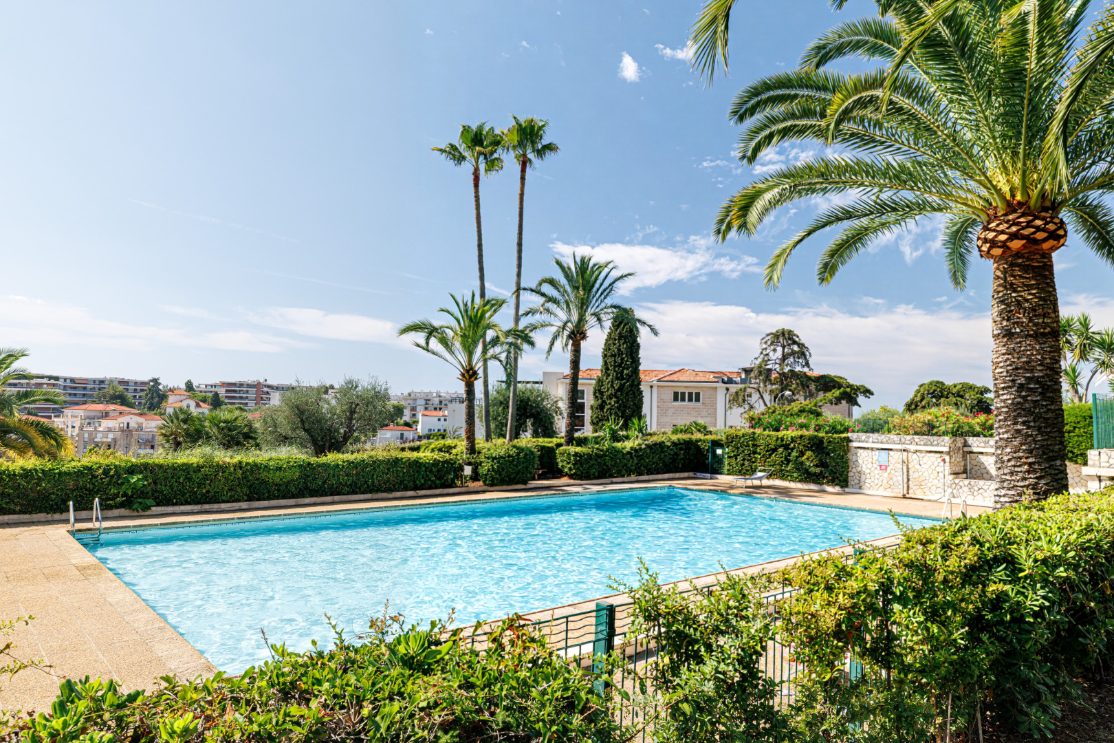 
                                                Vente
                                                 .