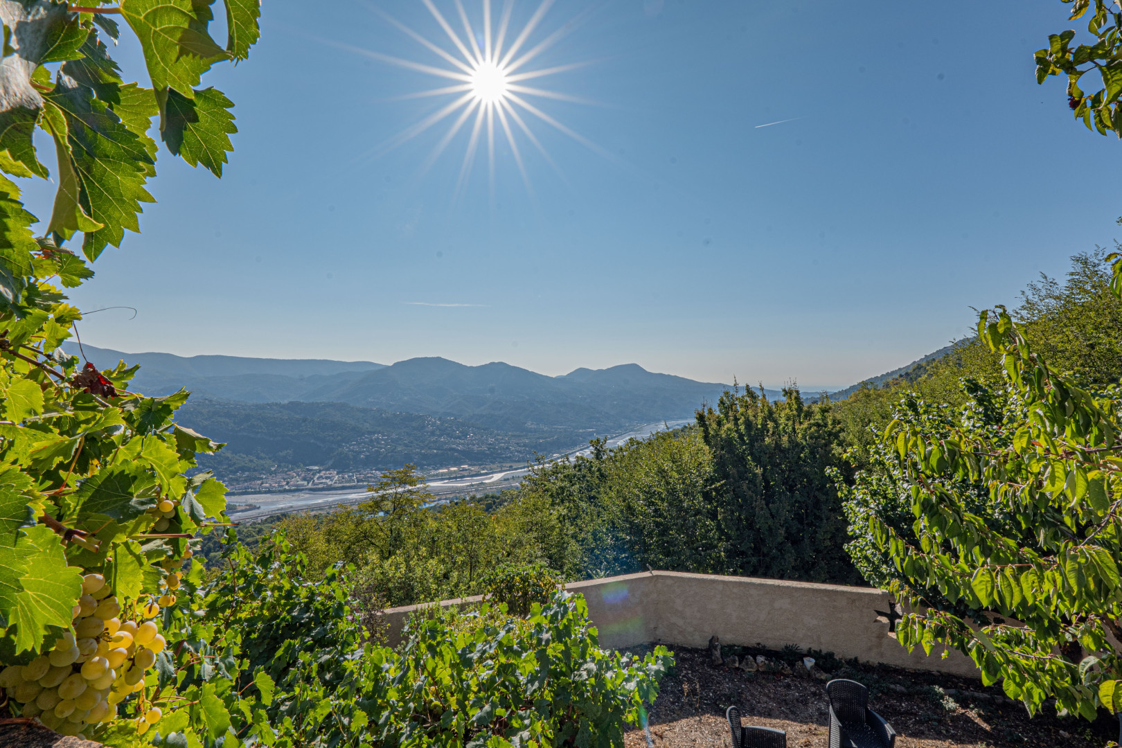 
                                                Vente
                                                 .