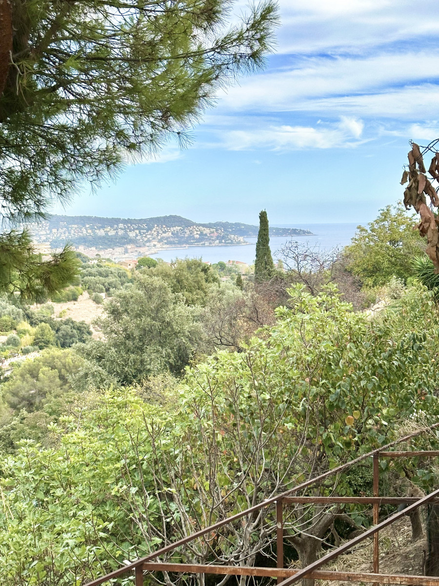 
                                                Vente
                                                 .