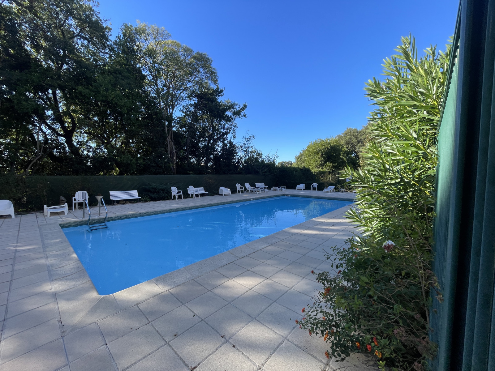 
                                                Vente
                                                 .