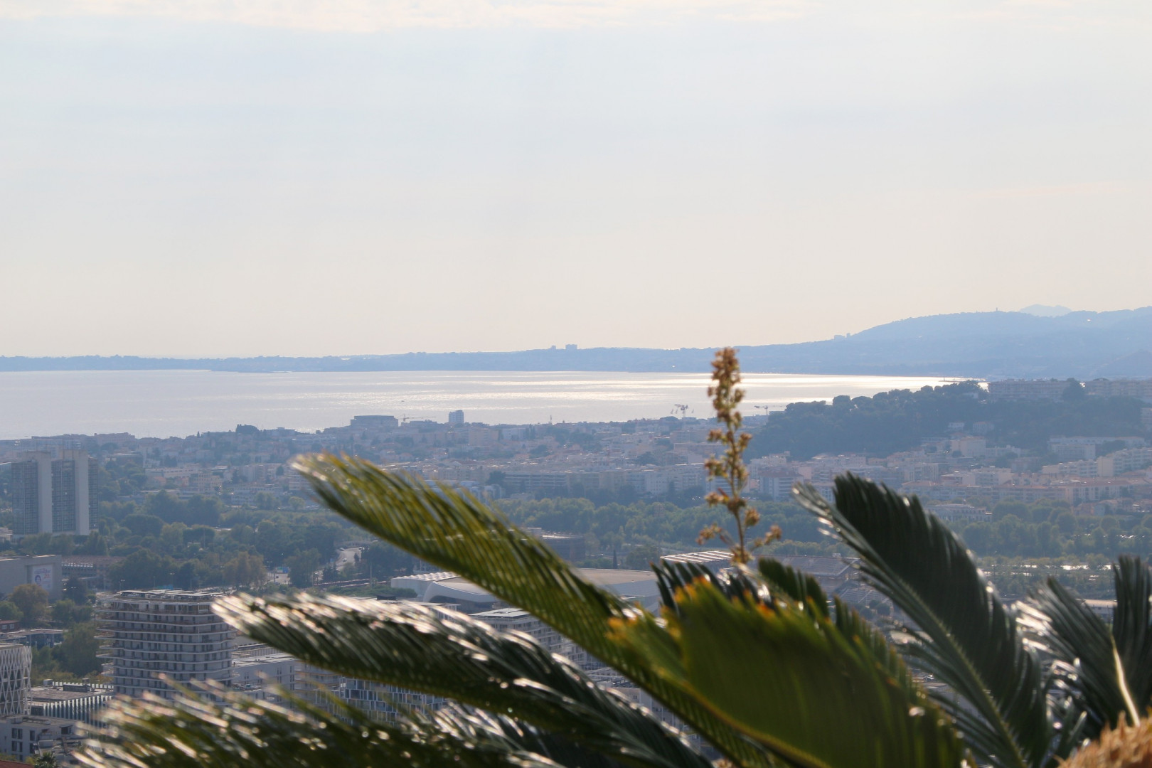 
                                                Vente
                                                 .