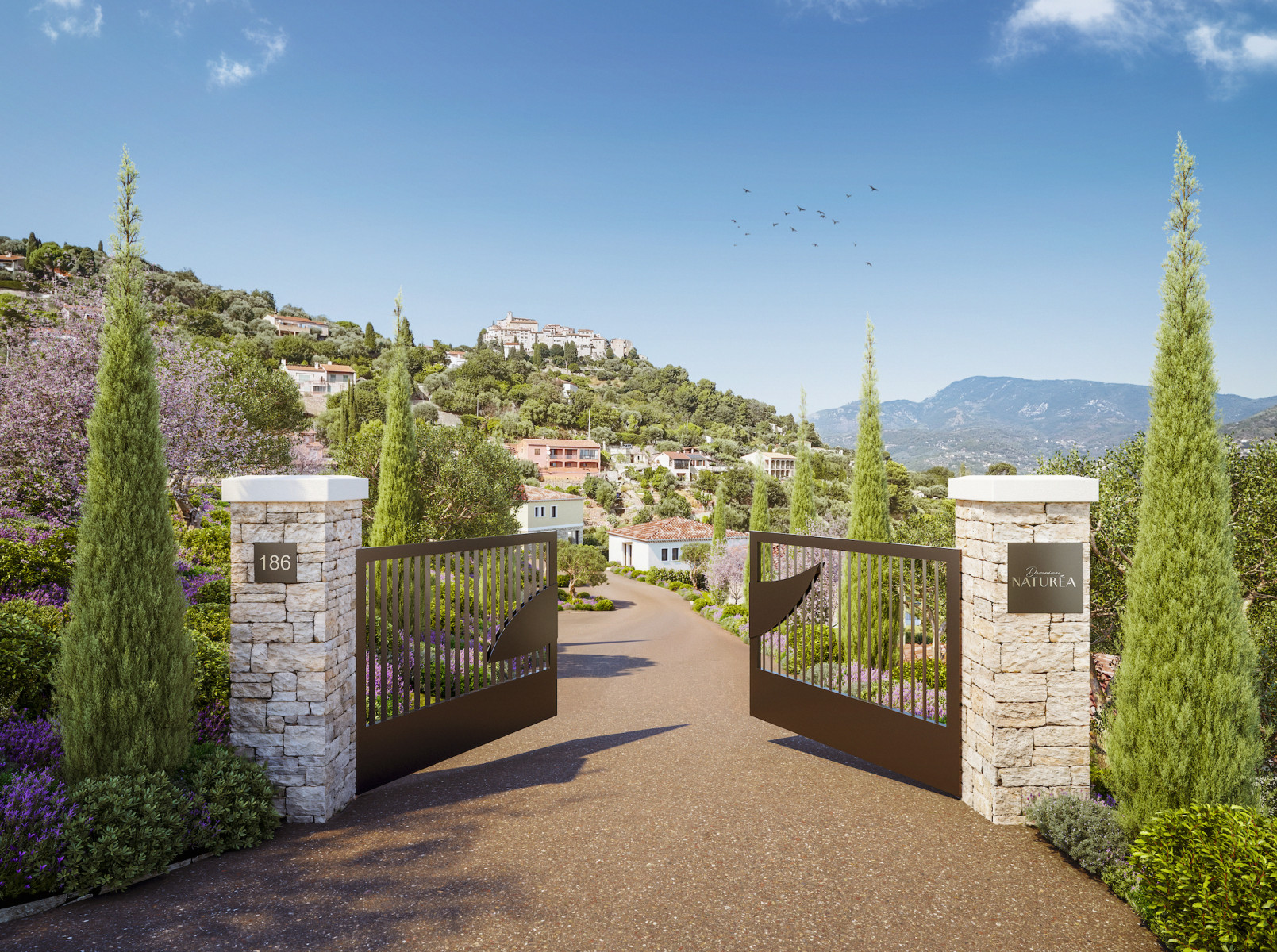 
                                                Vente
                                                 .