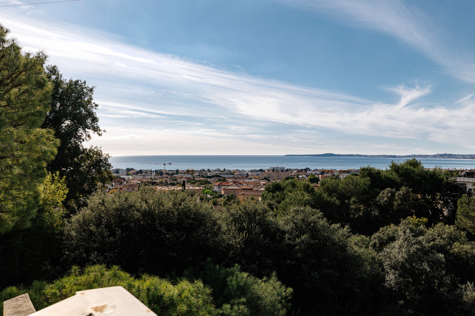 
                                                Vente
                                                 .