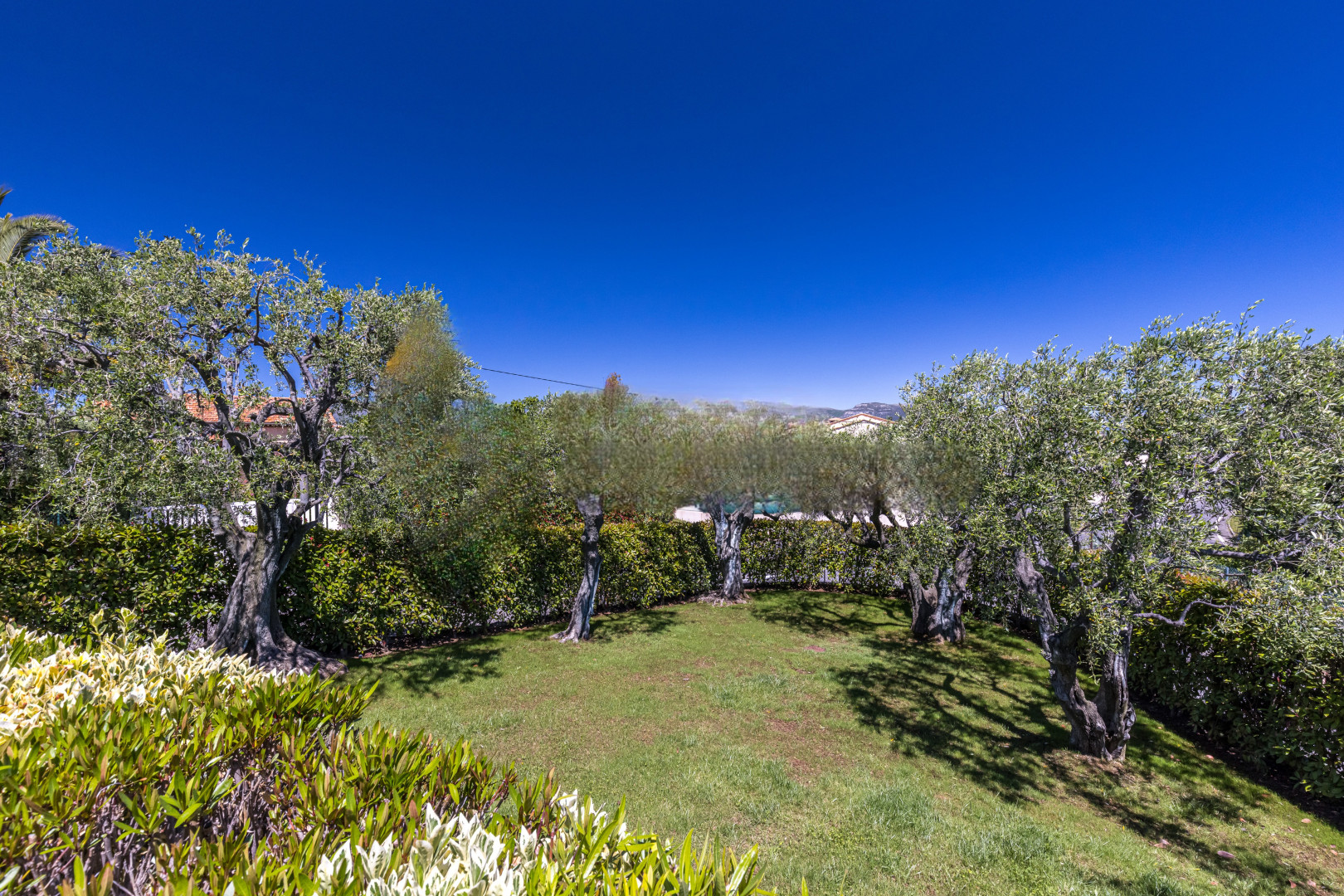 
                                                Location
                                                 .