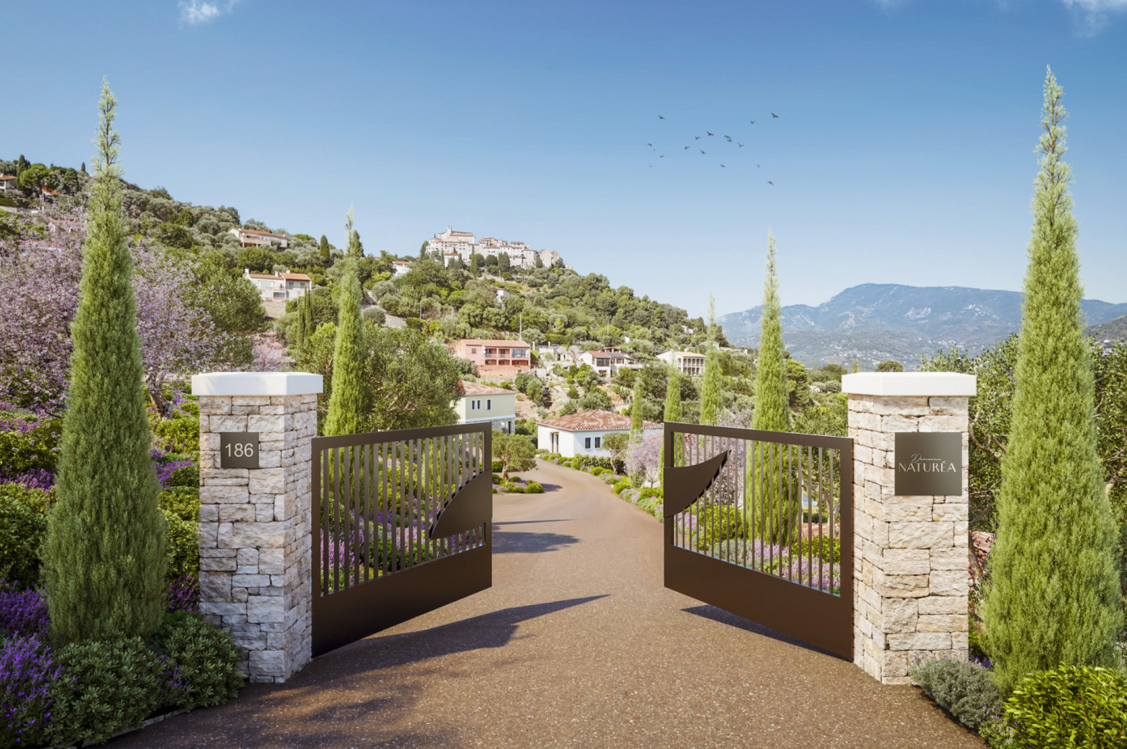 
                                                Vente
                                                 .