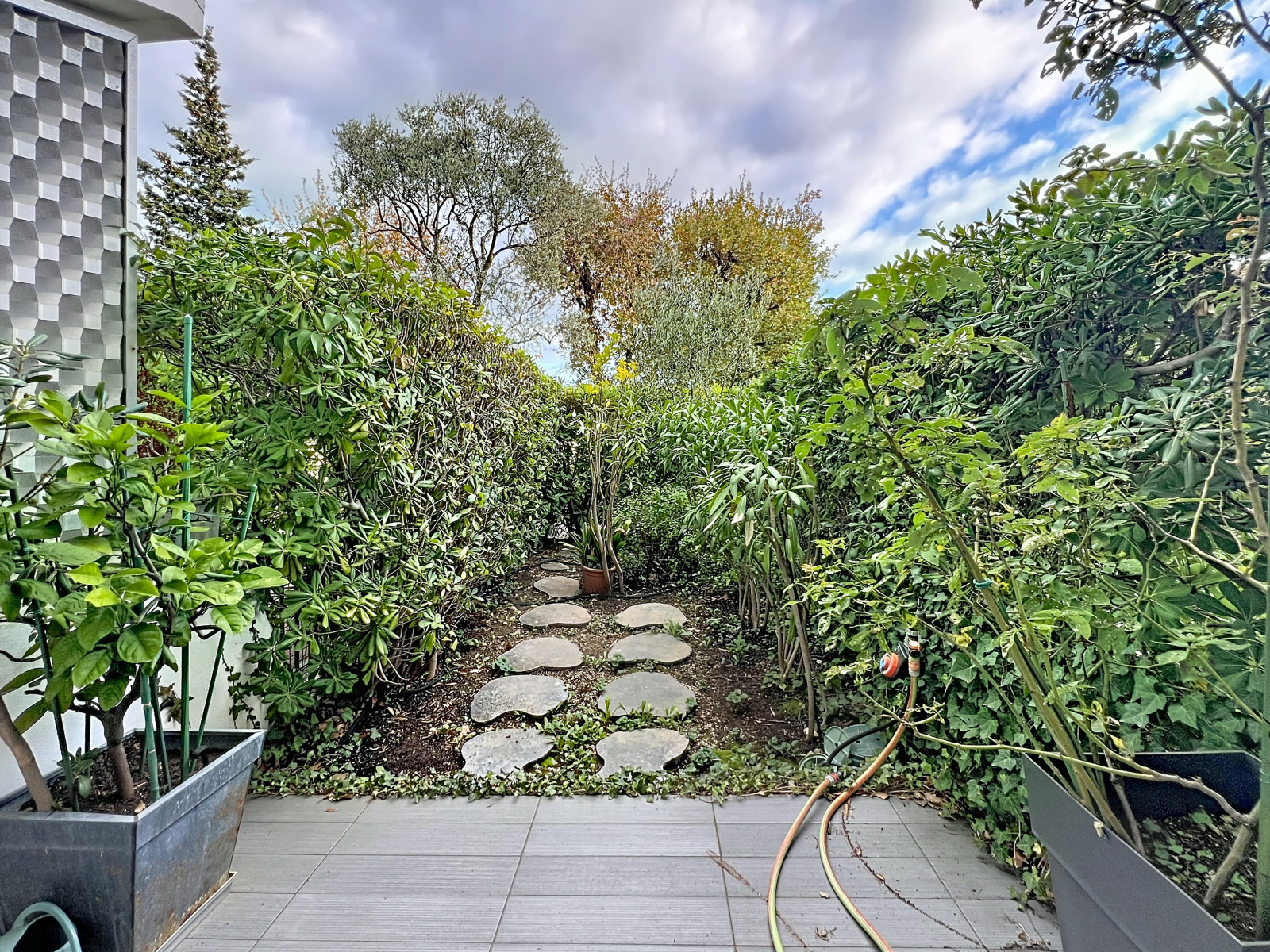 
                                                Location
                                                 .