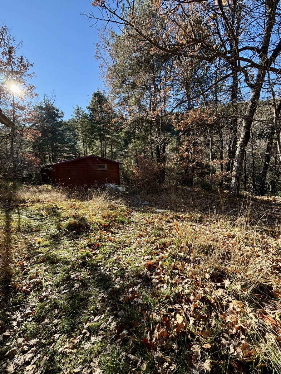 
                                                Vente
                                                 .