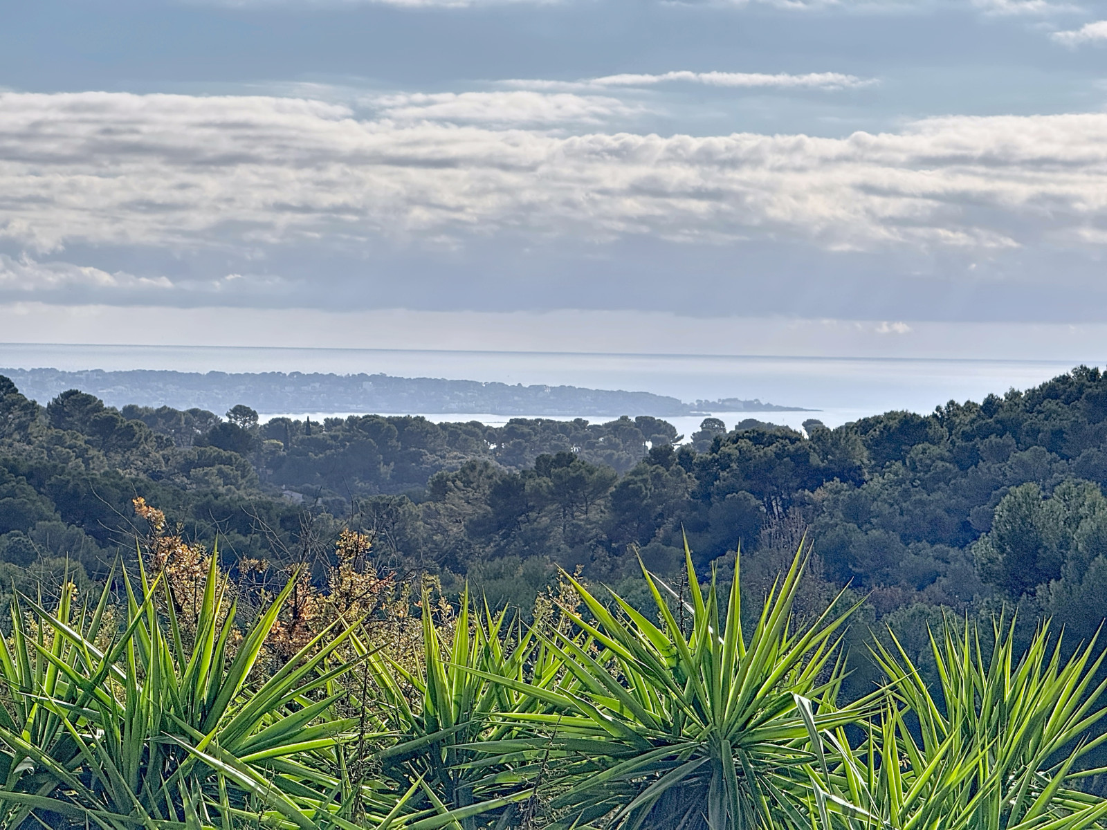 
                                                Location
                                                 .